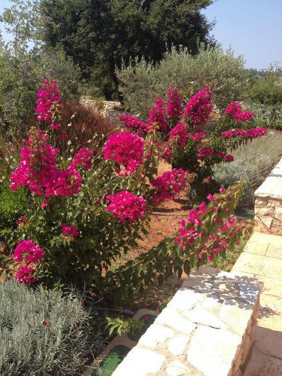 Korallis Villas Livathos  Экстерьер фото